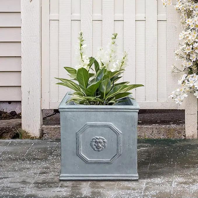 Kante Square Lion Head Concrete Planter, Classic English Style Plant Pot with Drainage Hole and Rubber Plug for Indoor Outdoor Garden Patio Home, 10.2"x10.2"x 10.2" Antique Gray by GreenHaven Gardens