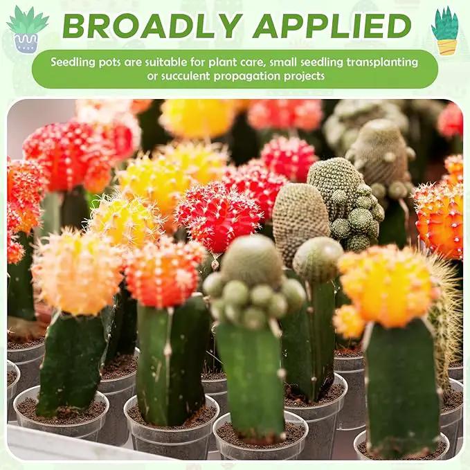 Yaomiao 200 Pcs 2 Inch Clear Mini Plastic Plant Pot Nursery Seedling Pots Seed Starter with Drainage Holes for Indoor Outdoor Garden Succulent Plants Cuttings Transplanting by GreenHaven Gardens