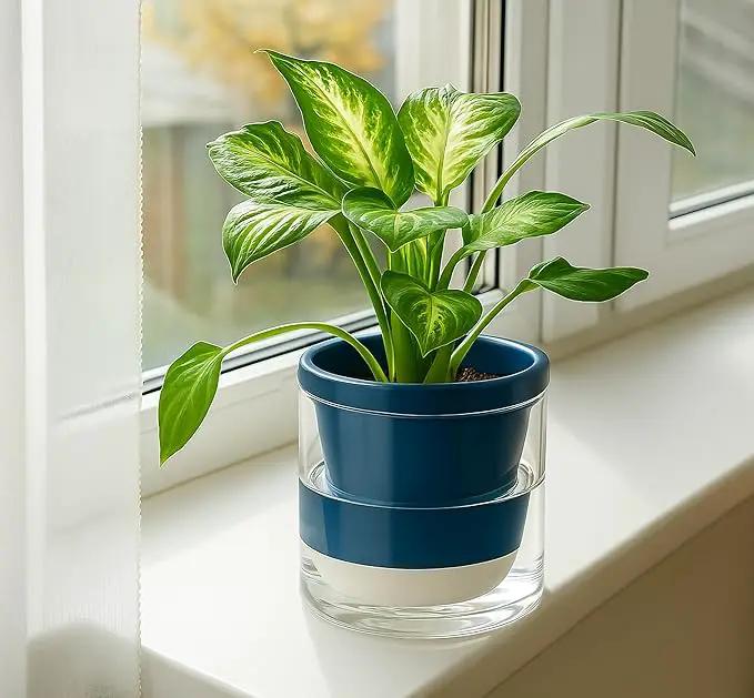D'vine Dev 6 Inch Design Self Watering Planter for Indoor Plants, Blue Terracotta Pot with Cylinder Glass Cup, Set of 2, 37-Y-B-4 by GreenHaven Gardens