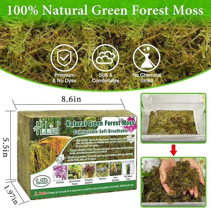 Halatool 1.1LB Green Forest Moss- 25QT Natural Sphagnum Moss for Plants Fluffy Orchid Moss for Orchids Repotting Dried Plant Moss for Potted Plants Indoor & Outdoor by GreenHaven Gardens