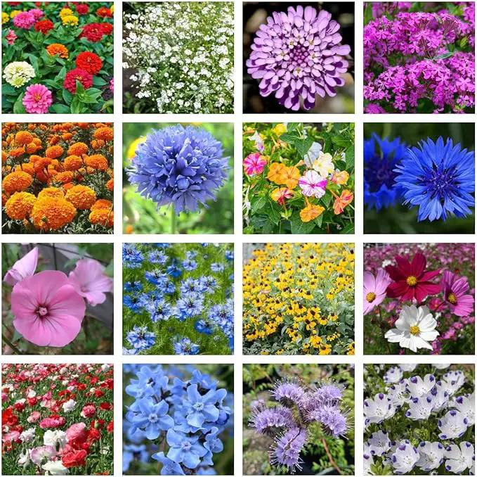 Wildflower Seed Shaker – Annual Mix by GevaGrow | 17 Variety Flower Seeds for Planting in Pots & Outdoor Gardens, Bulk 300,000+ Seeds - 1 Pound Tub by GreenHaven Gardens