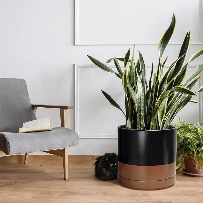 D'vine Dev 14 Inch Ceramic Planter Pot with Drainage Hole and Saucer, Indoor Cylinder Round Planter Pot, Black/Speckled Tan, 94-O-G-7 by GreenHaven Gardens