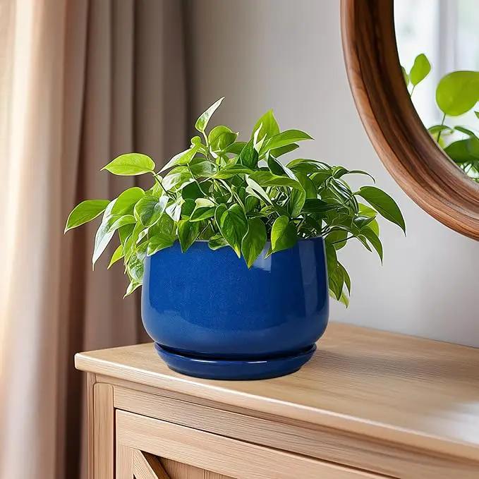 G EPGardening 6 Inch Plant Pot - Round Ceramic Planter Indoor with Drainage and Ceramic Saucer for Flower, Modern Desk Decor, Modern Garden Gift, Blue by GreenHaven Gardens