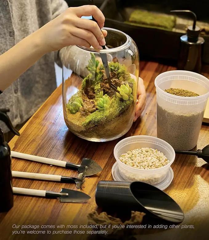 Terrarium Kit/Supplies Terrarium Plants Set with Grow Light, for Succulents Miniature Gardening, Include Terrarium jar Tool Set Live Moss Rocks Soil Driftwood and Decor, for Plant Lovers by GreenHaven Gardens