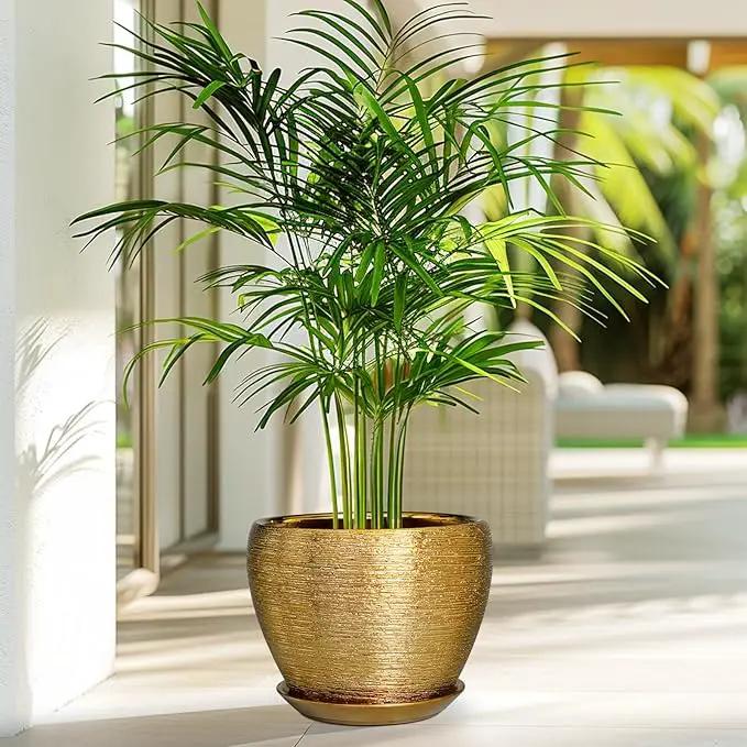 Ceramic Plant Pot 8 Inch - Planter for Outdoor Plants Indoor Plant Pot with Drainage Hole and Saucer Decorative Round Planter Modern Flower Pot for House Decor Gold by GreenHaven Gardens