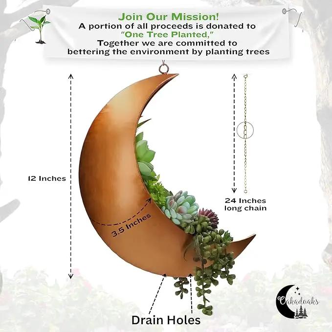 Gold Hanging Moon Planter – with Drain Holes - Moon Room Decor - Unique Planters for Succulents,Air Plant, Cactus, Artificial Plants- Plant Lover Gifts - Boho,Hippie, Birthdays,Witchy Gifts for Women by GreenHaven Gardens