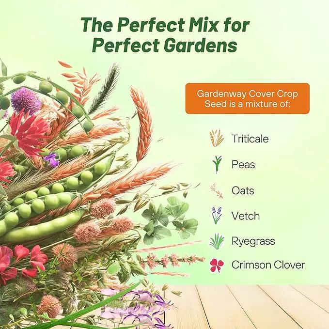 Outsidepride Gardenway Cover Crop Seeds - 25 lbs Nutrient-Rich Seed Mix for Soil Health Improvement & Home Gardens - Mixture of Triticale, Peas, Oats, Vetch, Annual Ryegrass, Crimson Clover by GreenHaven Gardens