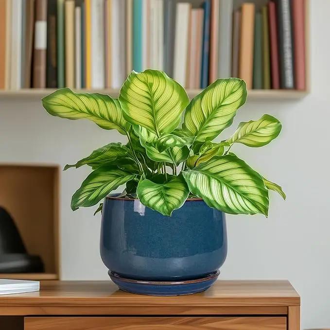 G EPGardening Ceramic Planter 6 Inch - Round Modern Ceramic Pot for Plants with Drainage and Plant Tray Indoor for Flower, Apartment Decor, Housewarming Gifts New Home, Retro Blue by GreenHaven Gardens
