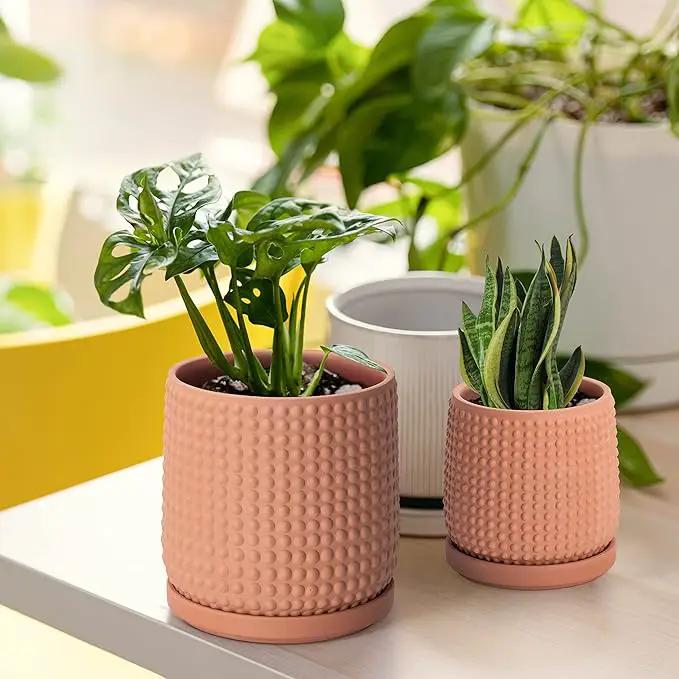D'vine Dev 6 Inch 4 Inch Terracotta Indoor Planter Pots with Drainage Hole and Saucer, Beaded Design Flower Pots, Set of 2, Terracotta Color, 27-D-U-7 by GreenHaven Gardens