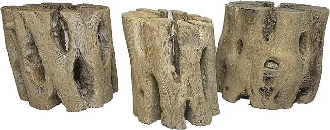3 Natural Cholla Wood Air Plant Display Holders 2 inch Individually Unique Round Decorative Stands by GreenHaven Gardens