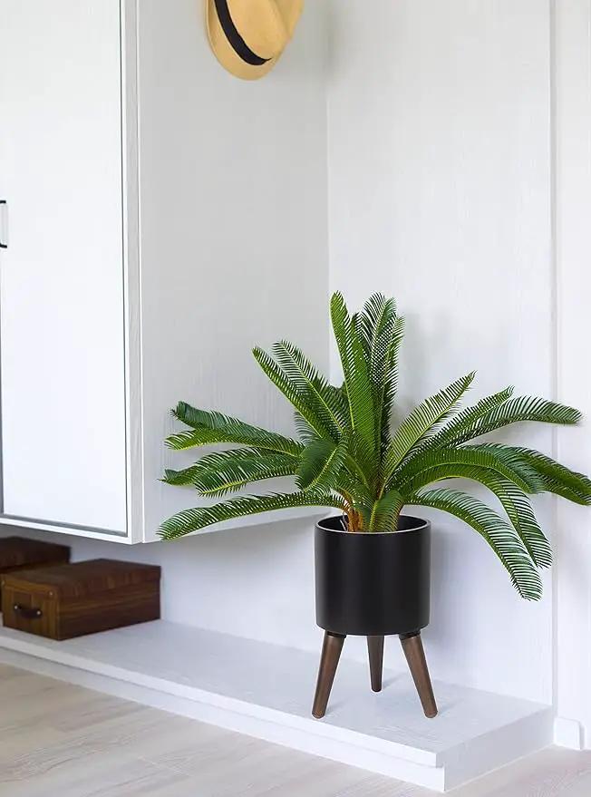 D'vine Dev 8 Inch Planter Pot with Stand, Mid-Century Tall Plant Pot with Legs for Indoor Plants, Small, Black, 88-O-A-2 by GreenHaven Gardens