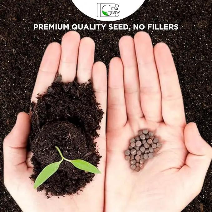 Mini Wildflower Seed Shaker – Honey Bee Wildflower Mix, by GevaGrow | Bulk 90,000+ Seeds | Pollinator Bee Attracting Flower Seeds for Planting in Pots & Outdoor Gardens | No Messy Packets by GreenHaven Gardens