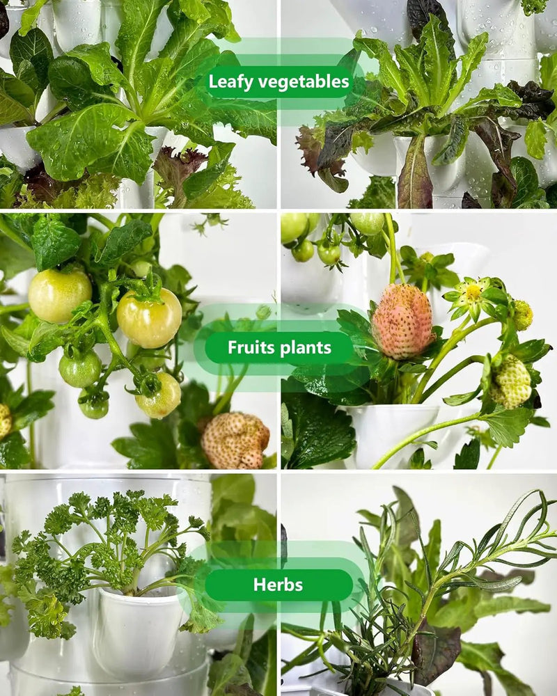 Hydroponic Tower Growing System Kits，30 Pods Vertical Indoor Garden，360° Full-Spectrum Lighs, Automatic Water Circulation System，Suitable for Leafy Greens and Herbs by GreenHaven Gardens