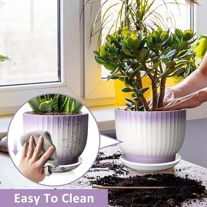 8 Inch Plant Pot, Ceramic Planter with Drainage and Saucer, Ceramic Pots for Plants, Indoor Plant pots,Ceramic Flower pots(Purple + White, Plants NOT Included) by GreenHaven Gardens
