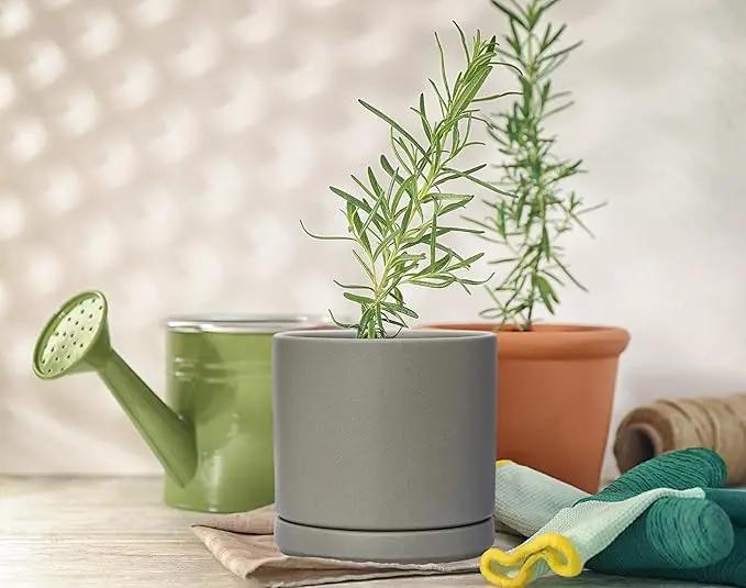 D'vine Dev Ceramic Planter Pot with Drainage Hole and Saucer, Indoor Cylinder Round Flower Pot, 4.6 Inch, Grey, 94-O-B-3 by GreenHaven Gardens