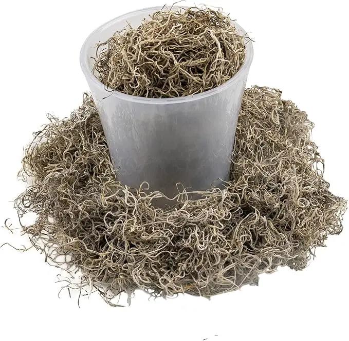 Premium Natural Spanish Moss | Natural Preserved - 10 Quart - Great Ground Cover - Filler for Potted Plants (2 Bags of 5 Quart) by GreenHaven Gardens