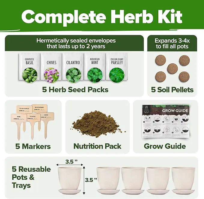 HOME GROWN Indoor Herb Garden Starter Kit - Christmas Gift for Gardeners - Complete 5 Herb Plant Grow Kit - Unique Gift for Mom, Women, Her, Men - Birthday Gift by GreenHaven Gardens