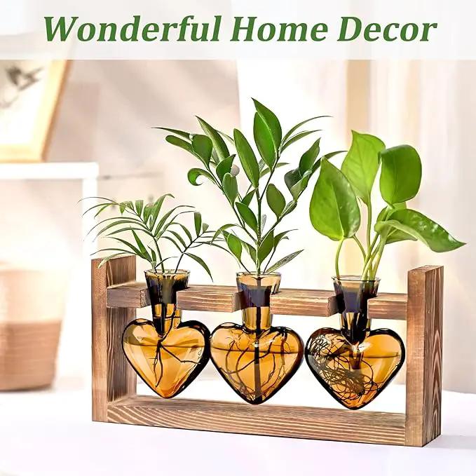 Lifecapido Heart Shaped Propagation Stations, Plant Terrarium with Wooden Stand, Plant Propagation Station for Hydroponics Plants Office Garden Home Decor, Gifts for Women Plant Lover (3 Vases, Amber) by GreenHaven Gardens