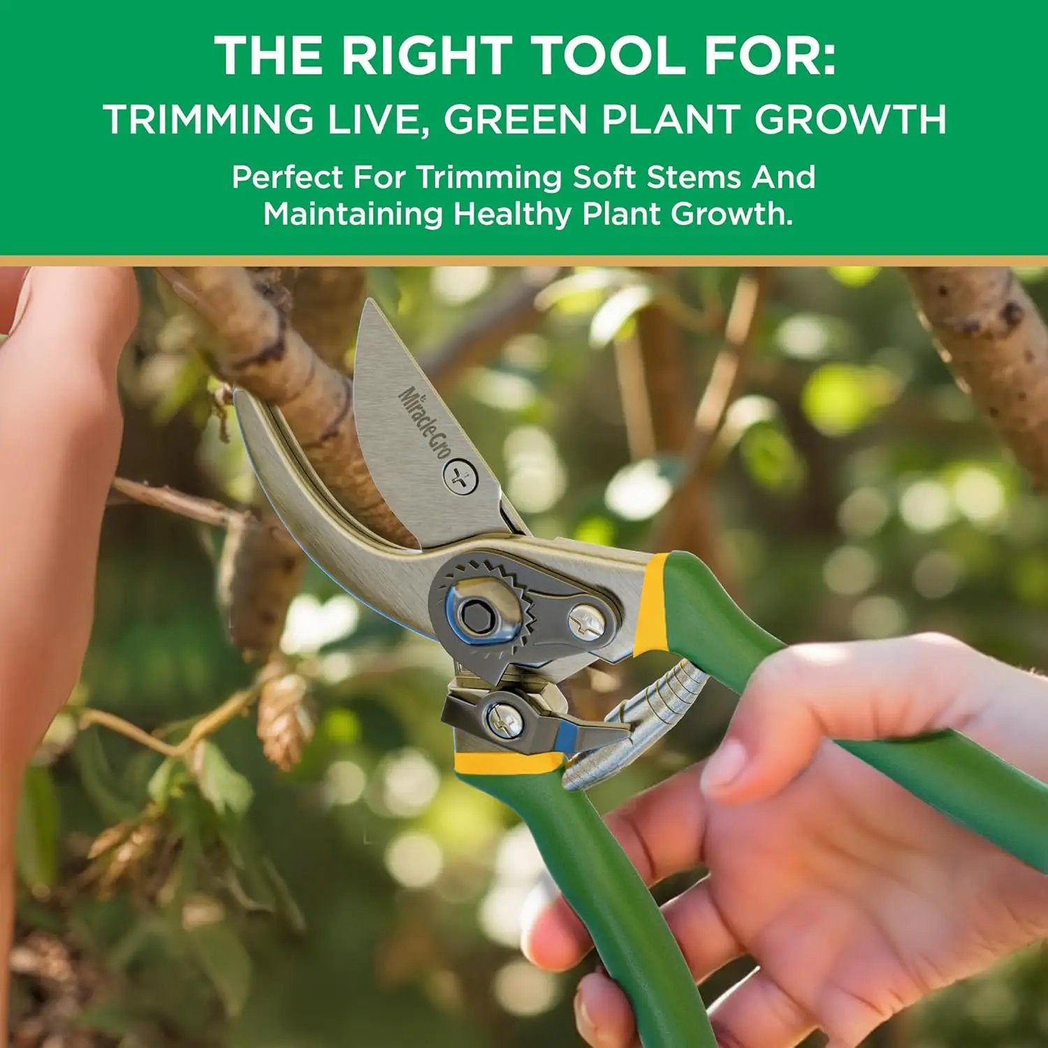Miracle-Gro 2-Piece Pruning Shears Set – Includes 8 in. Bypass Pruner for Live Plants and 8 in. Anvil Pruner for Dry Stems – Sharp Carbon Steel Blades and Comfort Grip Handles for Garden and Yard Use by GreenHaven Gardens