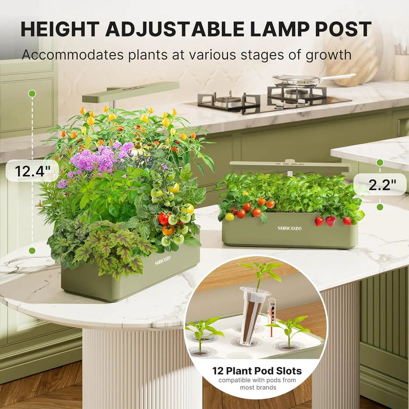 SUNCOZE Hydroponics Growing System Kit 12 Pods, 24W LED Grow Light Indoor Garden, 4L Water Tank with Quiet Pump, Adjustable Height Herb Garden Planter Indoor Kit, Gardening Gifts, Green by GreenHaven Gardens