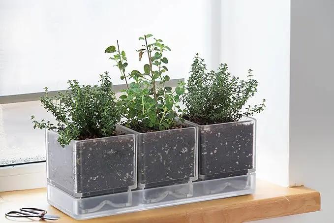 D'vine Dev Herb Garden Planter Set, Plastic Plant Pots with Drainage and Saucer, Indoor Succulent Cactus Vegetable Pot for Windowsill, Garden Balcony, Clear, Set of 2, 76-V-D-2 by GreenHaven Gardens