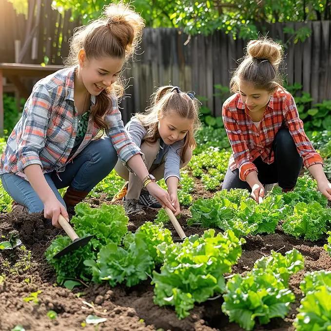 20,000+ Lettuce Seeds, Heirloom Vegetable Seed for Planting Indoor Outdoor, 10 Varieties Fresh Lettuce Salad Seeds Garden Hydroponics Kit - Romaine, Iceberg, Boston, Bibb and More, Non-GMO by GreenHaven Gardens