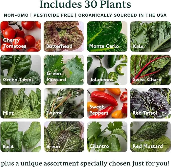 Gardyn 4.0 Hydroponics Growing System Kit & Vertical Garden Planter, 30 Non-GMO Indoor Plants Smart Garden, Herbs, Vegetables & LED Grow Lights for Indoor Gardening System by GreenHaven Gardens