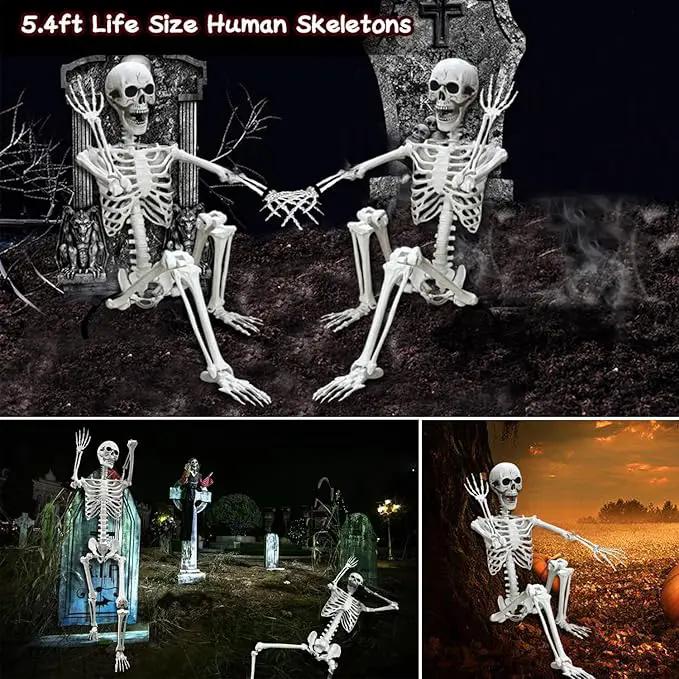 Lodou 5.4Ft Posable Life Size Human Adult Skeletons Plastic Human Bones with Movable Joints for Halloween Decoration by GreenHaven Gardens