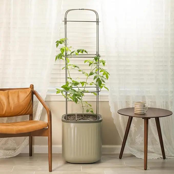 Vego garden Tomato Planter Box with Trellis Self-Watering Rolling Raised Garden Bed for Climbing Vegetables Plants Cage - Sage Green by GreenHaven Gardens