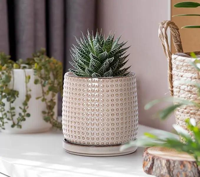 D'vine Dev 4 Inch Ceramic Beaded Stoneware Planter Pot - Flower Pot with Drainage Holes and Saucers for Indoor Succulent Plants or Flowers, Light Brown, 27-C-Z-4 by GreenHaven Gardens