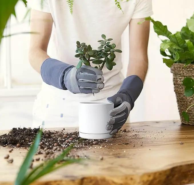 D'vine Dev Set of 2 Plants Pot, 4.6 Inch Ceramic Planter Pot for Plants with Drainage Hole and Saucer, White, 94-V-B-1 by GreenHaven Gardens