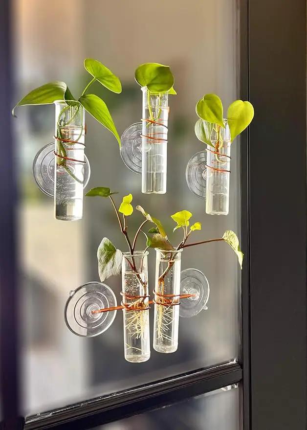 The Little Window Propagator- Window Plant Propagation Station with Removable Glass Test Tubes, Indoor Clippings, Cut Flowers, Herbs, Succulents | Home Decor | Plant Lover Gift by GreenHaven Gardens