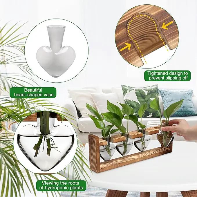 Plant Propagation Stations Heart Plant Terrarium Kit Gift for Women Plant Lover Glass Vases by GreenHaven Gardens