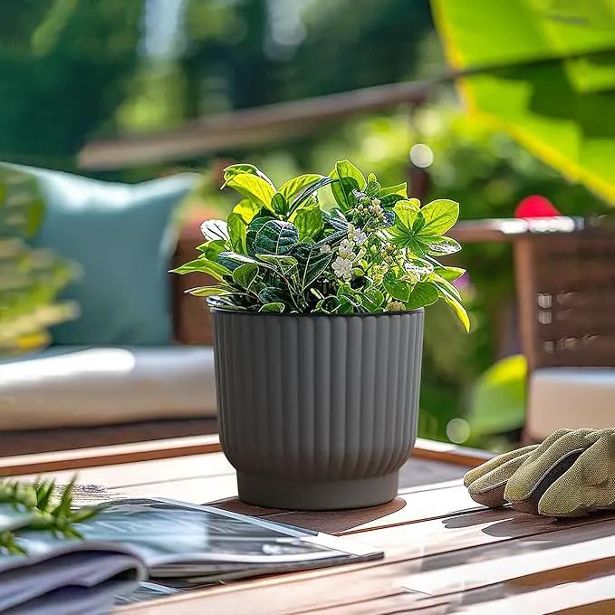 T4U 6 Inch Self Watering Pots for Indoor Plants, 6 Pack Planters for Indoor Plants, Durable Plastic Charcoal Gray Pots for Indoor Plants, African Violets, Flower by GreenHaven Gardens