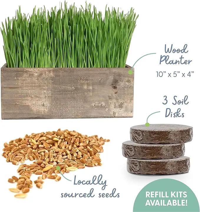 The Cat Ladies Cat Grass Kit Complete with Rustic Wood Planter, Organic Seed and Soil. Easy to Grow - Great for Indoor or Outdoor Cat, Dogs and Other Pets. Prevent Hairballs and Aid Digestion… by GreenHaven Gardens