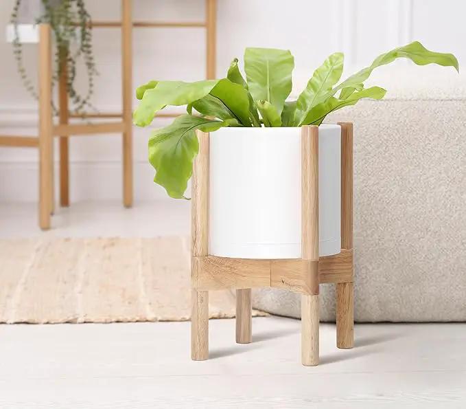 D'vine Dev Planter Pot with Stand - 8 Inch Plastic Cylinder Flower Pot with Wood Planter Holder for Indoor, Matte White Pot + Natural Stand, 55-C-J-1 by GreenHaven Gardens