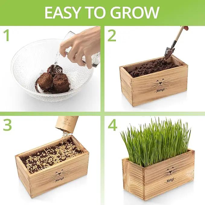Organic Cat Grass for Indoor Cats - 4X Seed Packets | Pet Cat Grass Kit for Growing Wheat Grass w Planting Seeds, Tools & Planter by GreenHaven Gardens