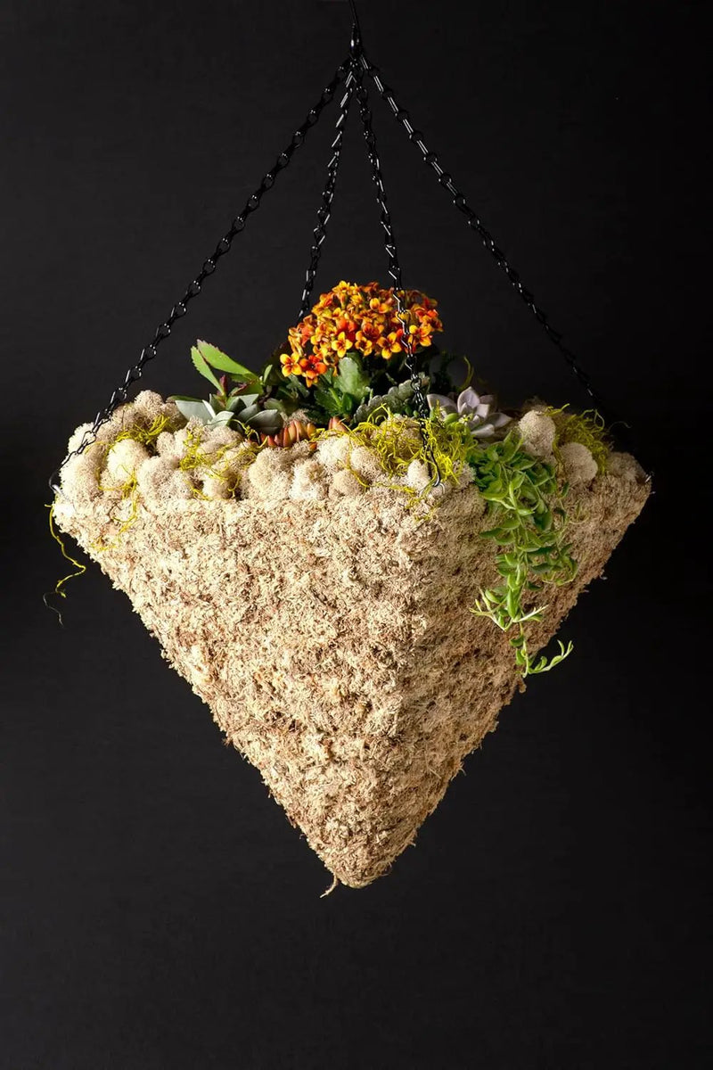 SuperMoss (29247D MossWeave Hanging Basket | Outdoor Hanging Planter with Moss | Decorative Plant Hanger for Porch, Balcony, Garden & Home Décor, Pyramid, Small 12.5” D, Blond by GreenHaven Gardens