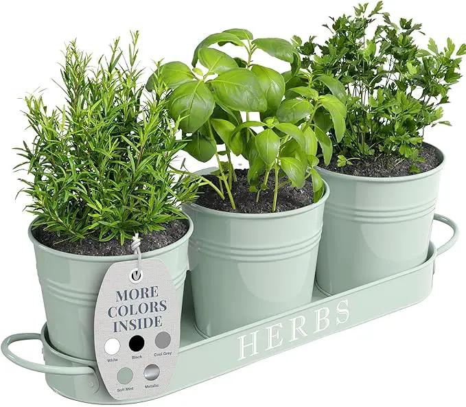 Barnyard Designs Indoor Herb Garden Planter Set with Tray, Metal Windowsill Plant Pots with Drainage for Outdoor or Indoor Plants, Set/3 (Soft Mint) by GreenHaven Gardens
