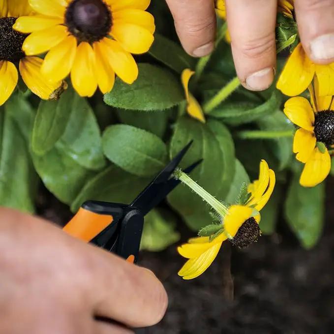 Fiskars Micro-Tip Rose Pruning Shears, 6" Garden Shears Non-Stick Coated Stainless Steel Blade, Gardening Scissors with SoftGrip Handle by GreenHaven Gardens