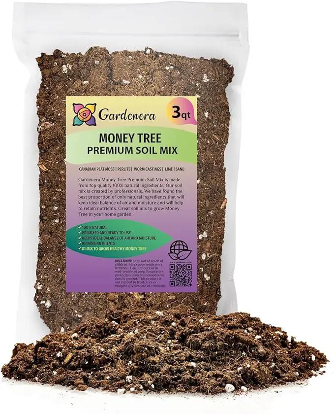 Money Tree Potting Soil, Soil Mix for Planting or Repotting Guiana Chestnut, Soil Blended to Properly Grow Money Tree Plants - (3 Quart Bag) by GreenHaven Gardens
