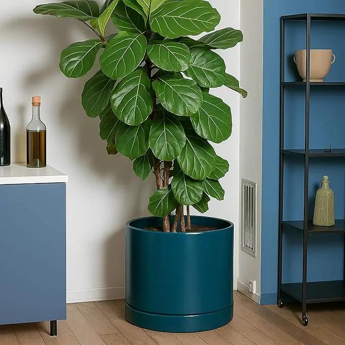 D'vine Dev 14 Inch Ceramic Planter Pot with Drainage Hole and Saucer, Indoor Cylinder Round Planter Pot, Teal, 94-O-G-9 by GreenHaven Gardens