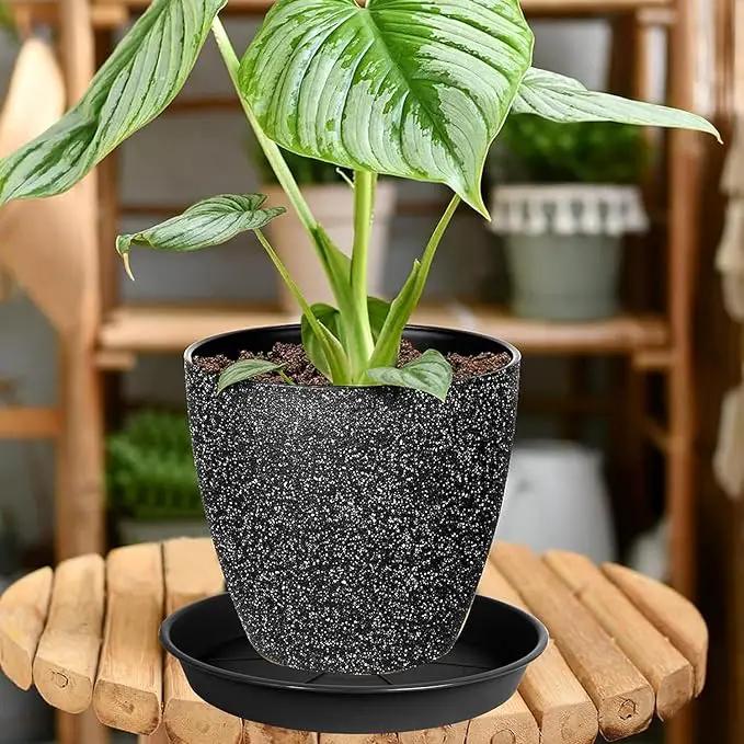 6 Pack of Plant Saucer 6 inch, Black Plastic Flower Plant Pot Saucer, Heavy Duty Plant Drip Trays Saucers for Indoor, Plant Water Tray for Planters by GreenHaven Gardens