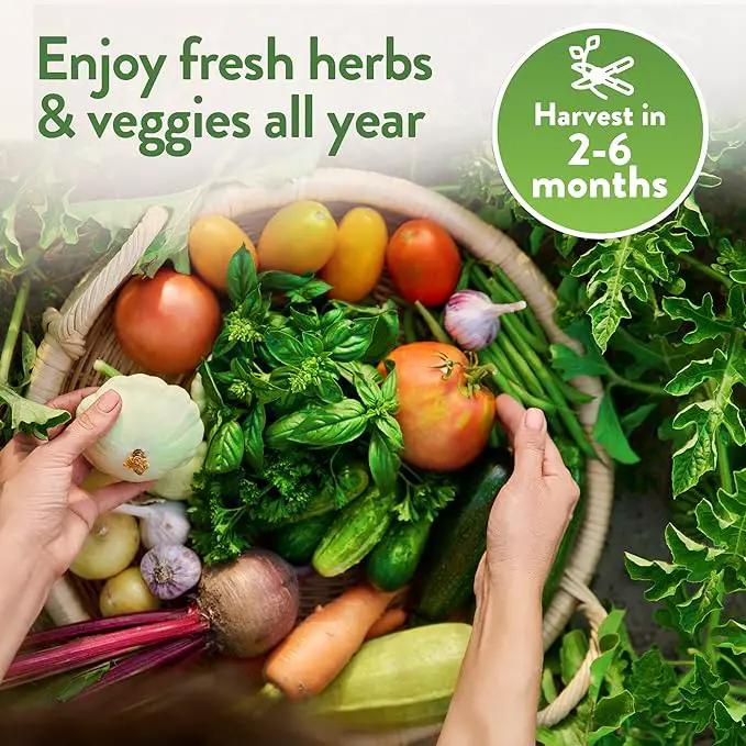 Home Grown 32,000+ Heirloom Seeds for Planting Vegetables and Herbs Bundle: 70 Unique Varieties - 100% Non-GMO Survival Seeds for Planting Indoor or Outdoors by GreenHaven Gardens