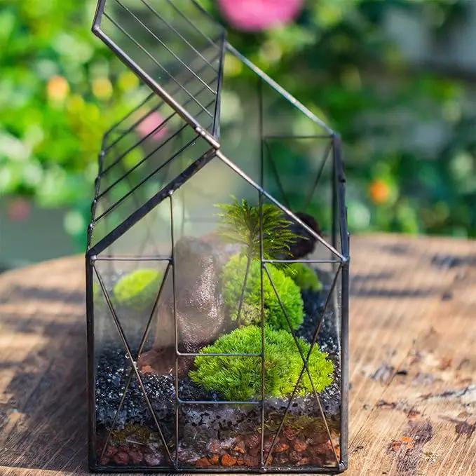 NCYP Geometric Glass Terrarium with Lid for Succulent, Small Cactus - Handmade Clear Closed House Shape Box - Home Indoor Tabletop Garden Decor, Black 9.4" x 5.5" x 7.3" (No Plants) by GreenHaven Gardens