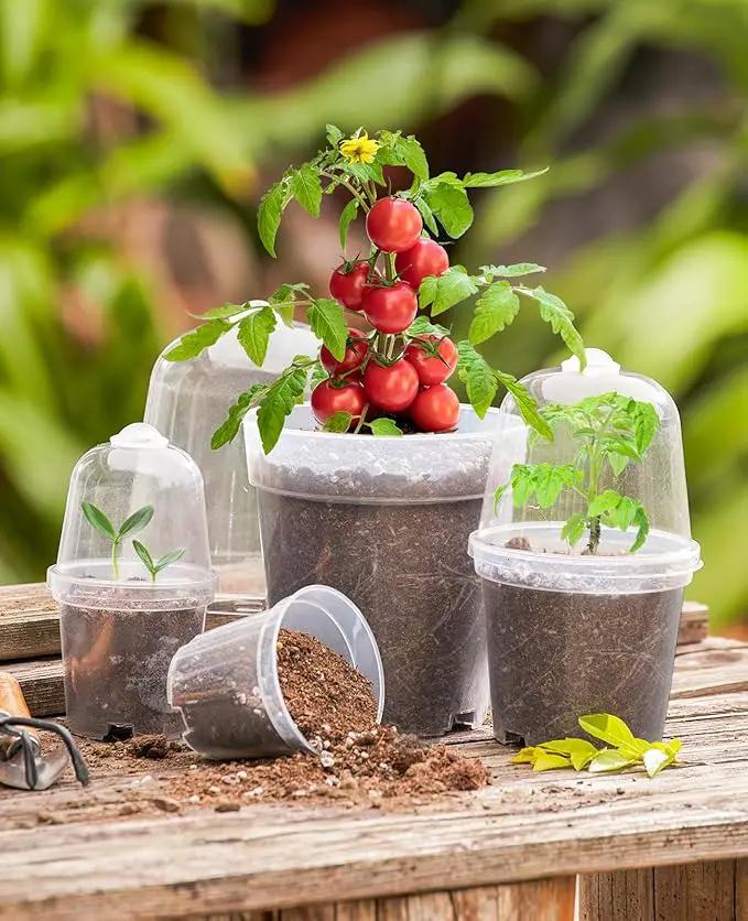 homenote Clear Nursery Pots for Plants,3/4/5 Inch Plant Pot for Planting with Humidity Domes Plastic Seedling with Drainage Holes Seed Starter Flower High Transparency (15 Pack) by GreenHaven Gardens