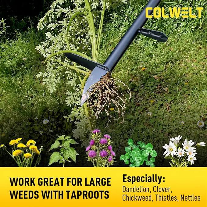 Colwelt Weed Remover Tool 39’’, Weed Puller Root Remover with Thick Steel Claw, Long Handled Weeding Tool with Easy Foot Ejector, Stand Up Garden Weeder Tool for Lawn Grass Dandelion Removal by GreenHaven Gardens