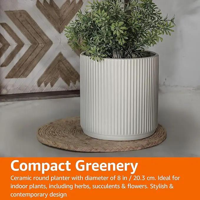 Amazon Basics Fluted Ceramic Round Planter, 8-Inch, White by GreenHaven Gardens