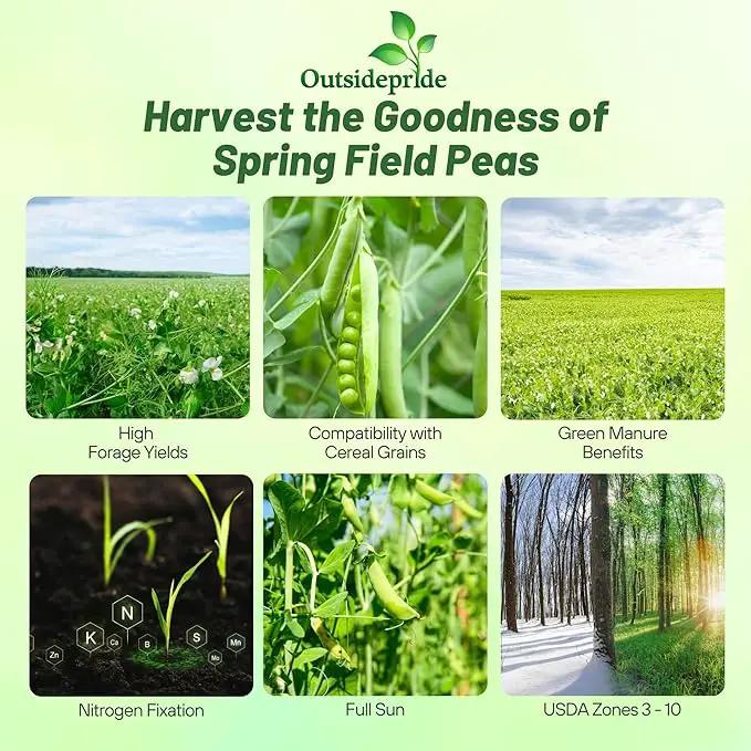 Outsidepride Dundale Spring Field Peas Seeds - 5 lbs. Annual, High-Protein Legume & Cover Crop Seeds for Forage, Food Plot, Gardens & Pastures - Ideal for Improving Soil Health, & Erosion Control by GreenHaven Gardens