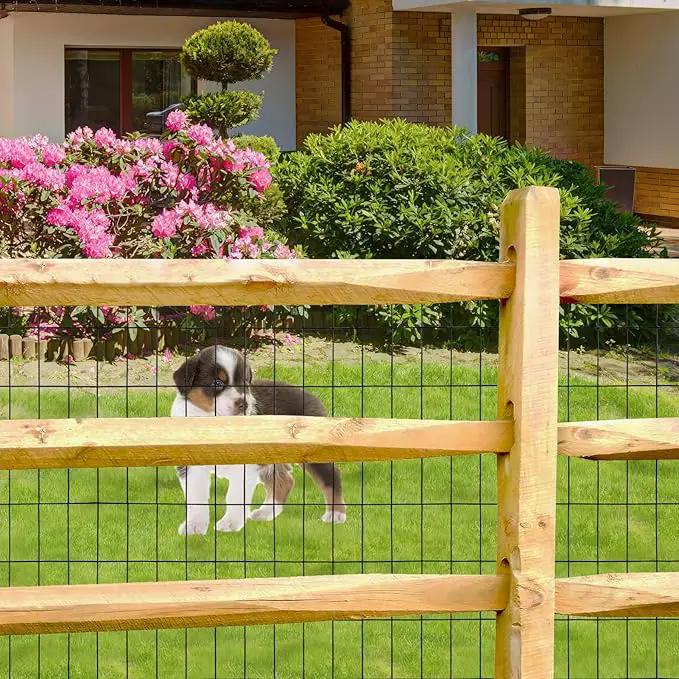 Black PVC Coated Welded Wire Fence 24 Inch x 50 Foot, 2 Inch x 4 Inch 15GA, Garden Border Fencing Roll Vinyl Coating Metal Wire Mesh Hardware Cloth for Yard Vegetable Plant Protection by GreenHaven Gardens